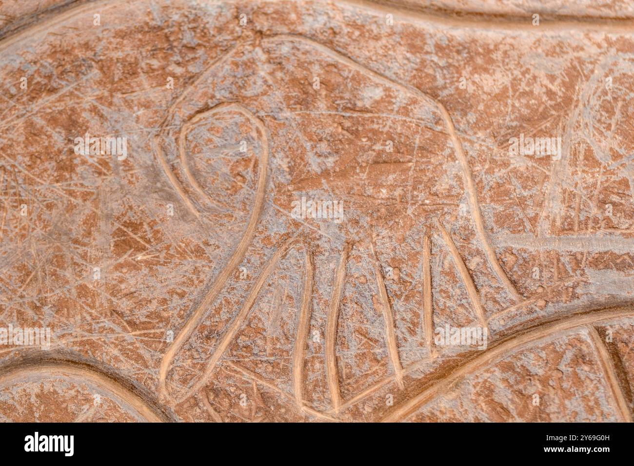 petroglyph di un elefante, sito grotta di Ait Ouazik, tardo Neolitico, Marocco, Africa. Foto Stock