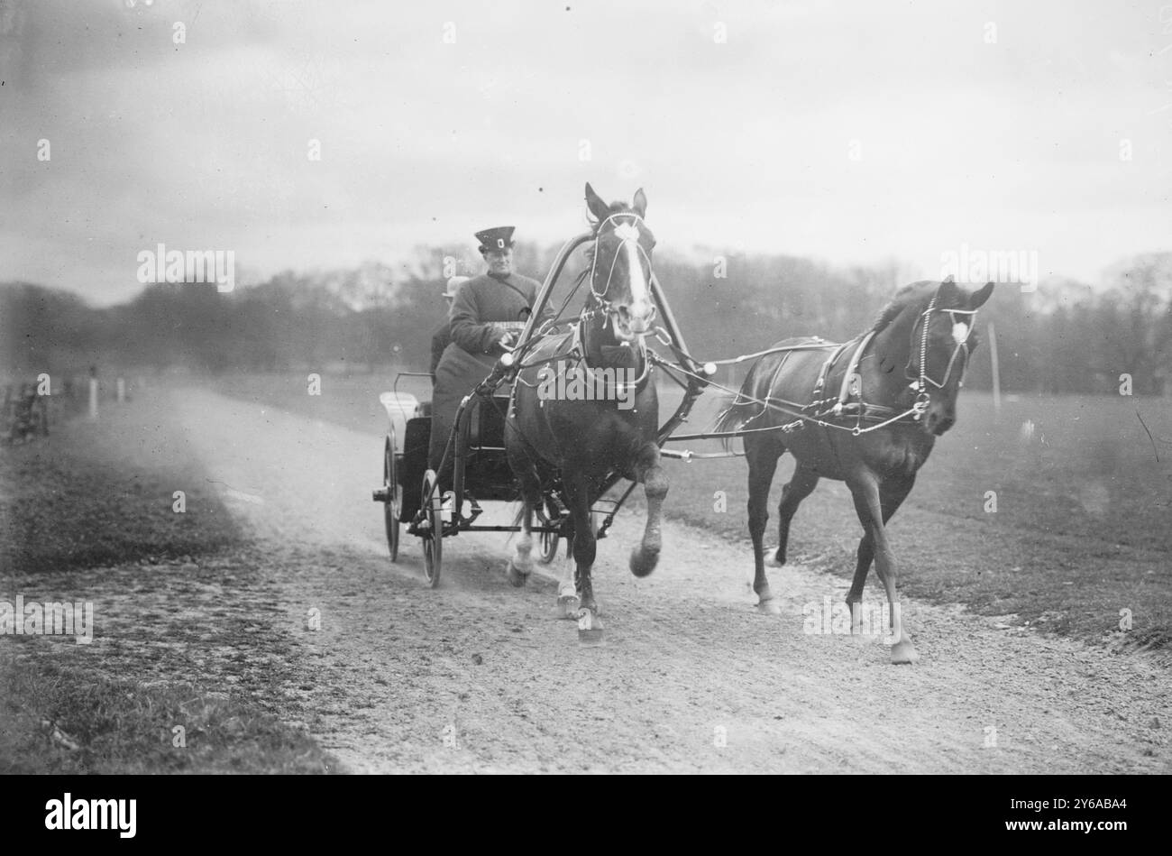 Prestashka di W. Winans, foto mostra i cavalli di Walter W. Winans (1852-1920), scultore, allevatore di cavalli, tiratore e pittore., tra il 1910 e il 1915 circa, Glass negative, 1 negative: Vetro; 5 x 7 poll. o più piccolo. Foto Stock