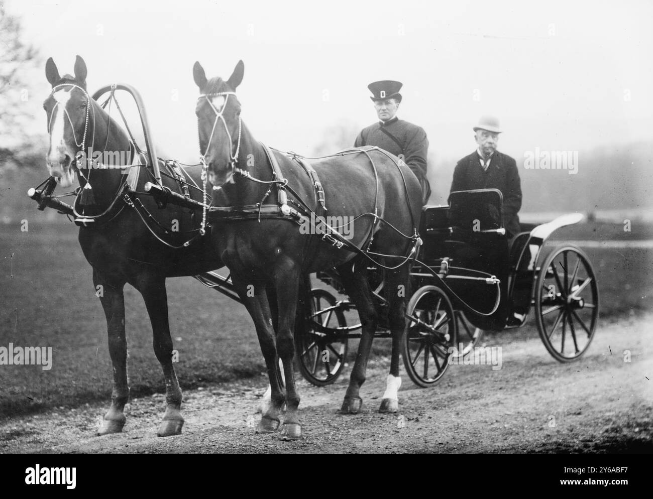 Prestashka Team of W. Winans, Photo Shows Horses of Walter W. Winans (1852-1920), scultore, allevatore di cavalli, tiratore e pittore., tra il 1910 e il 1915 circa, Glass negative, 1 negative: Vetro; 5 x 7 pollici o più piccolo. Foto Stock