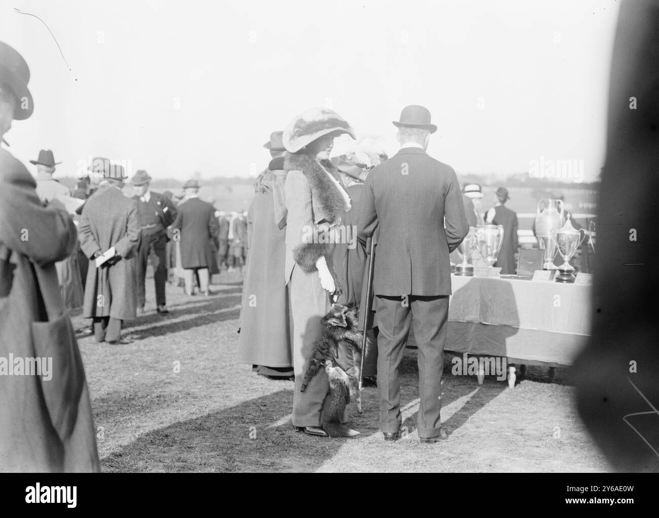 Sig.ra Cornelius H. Tangeman, foto mostra la moglie di Cornelius Hoagland Tangeman (1878-1928), un produttore automobilistico americano., tra il 1910 e il 1915 circa, Glass negative, 1 negativo: Vetro; 5 x 7 poll. o più piccolo. Foto Stock