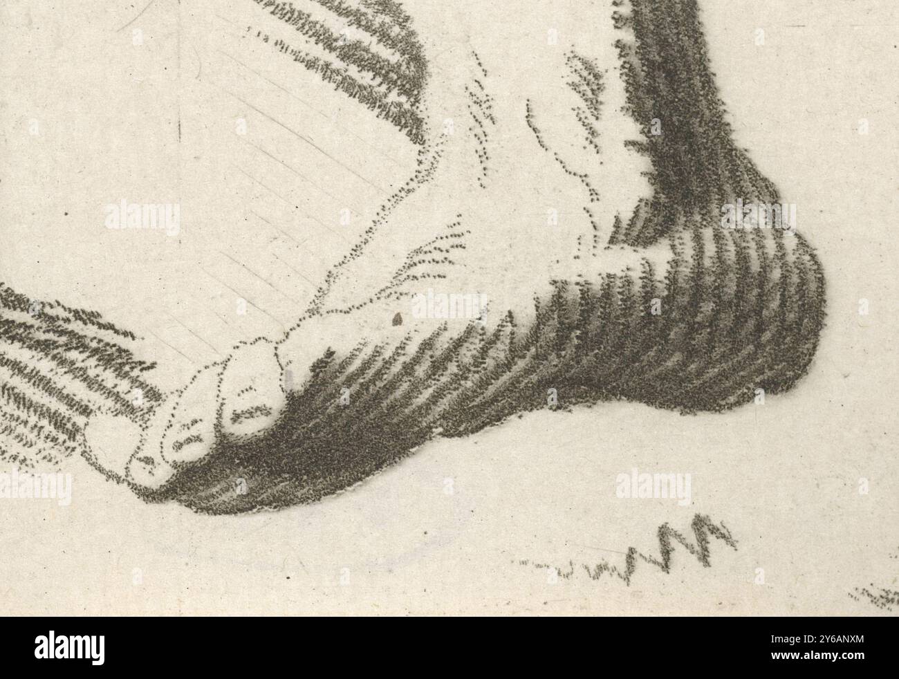 Stampatore: Caspar Jacobsz. Philips, Amsterdam, 1752 - 1789, carta, altezza, 46 mm x larghezza, 59 mm Foto Stock