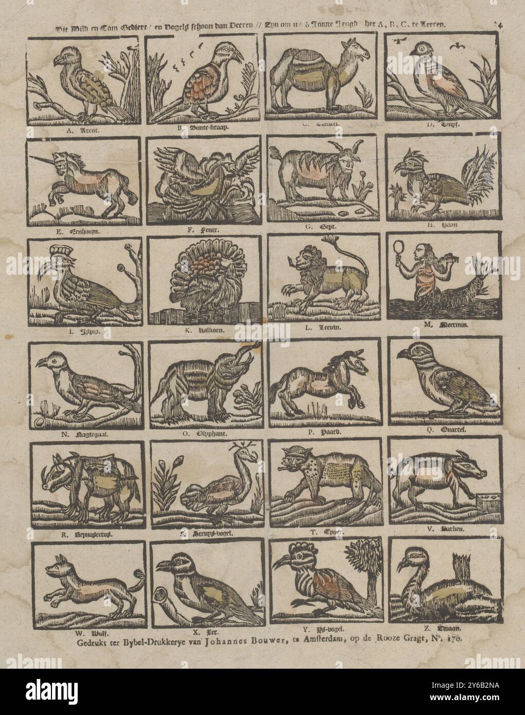 Questi animali selvatici e addomesticati, e uccelli bellissimi in piume // ti insegneranno, o giovani giovani, A, B, C, (titolo sull'oggetto), foglio con 24 rappresentazioni rappresentazioni delle lettere dell'alfabeto illustrate con animali il cui nome inizia con la lettera in questione. Una didascalia sotto ogni immagine. Numerato in alto a destra: 24., stampa, editore: Johannes Bouwer, (menzionato sull'oggetto), tipografo: Anonimo, editore: Amsterdam, tipografo: Paesi Bassi, 1805 - 1808, carta, stampa tipografica, altezza, 385 mm x larghezza, 316 mm Foto Stock