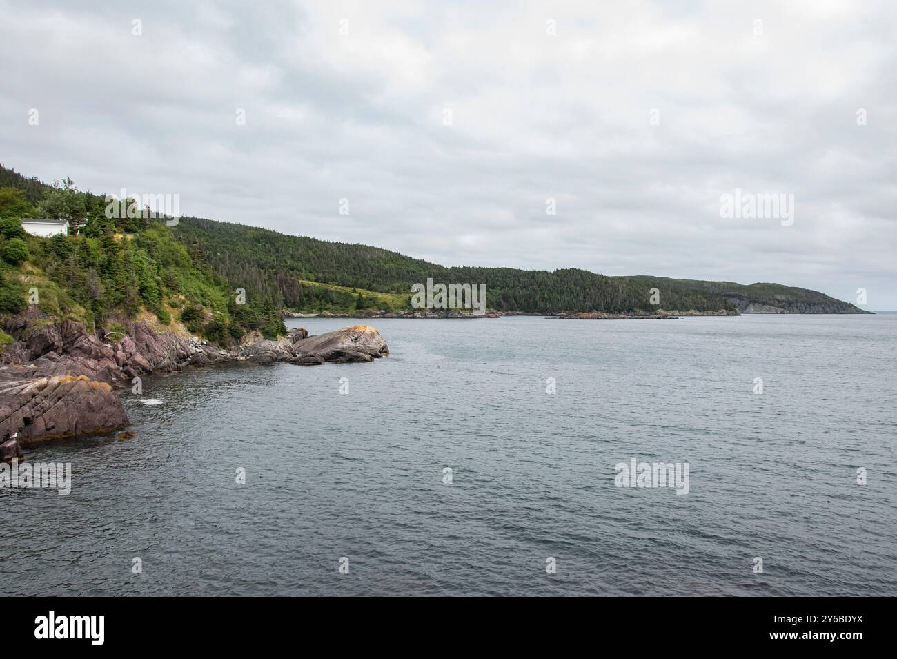 Costa frastagliata a Shores Cove a Cape Broyle, Terranova e Labrador, Canada Foto Stock