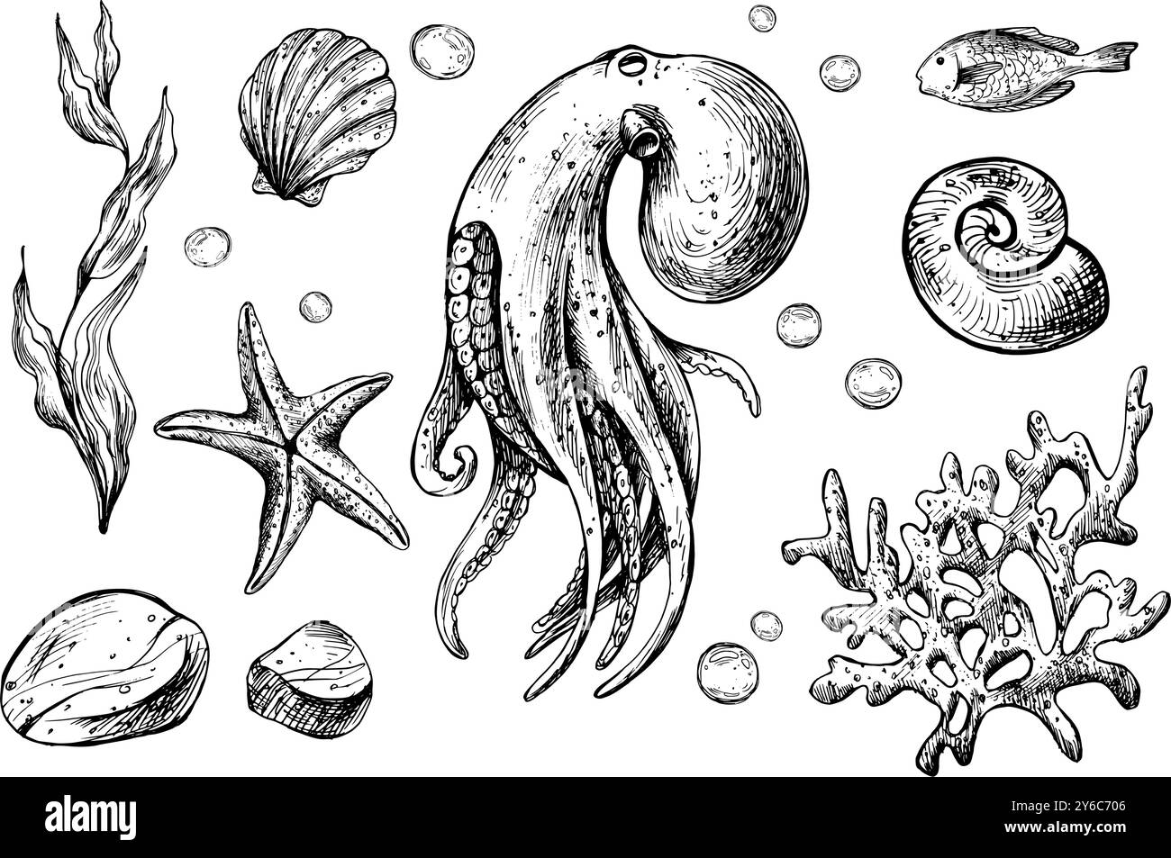 Polpo, conchiglie, stelle marine, pesce, bollicine, ciottoli e altri animali marini e piante. Illustrazione grafica disegnata a mano con inchiostro nero. Set di isolati Illustrazione Vettoriale