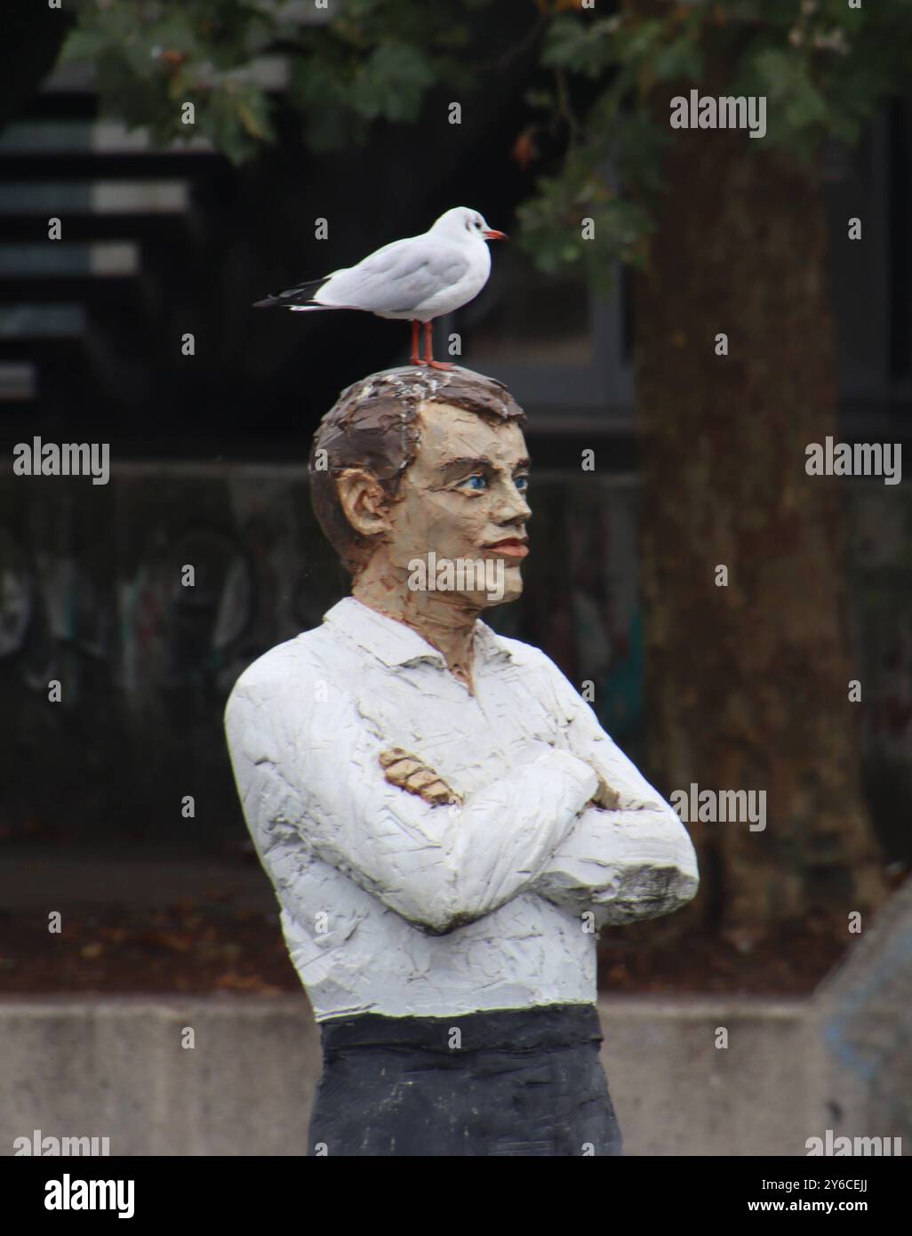 Eine Möwe steht auf dem Kopf einer Holzfigur im Bergedorfer Hafen. *** Un gabbiano si erge sulla testa di una figura di legno nel porto di Bergedorf Foto Stock