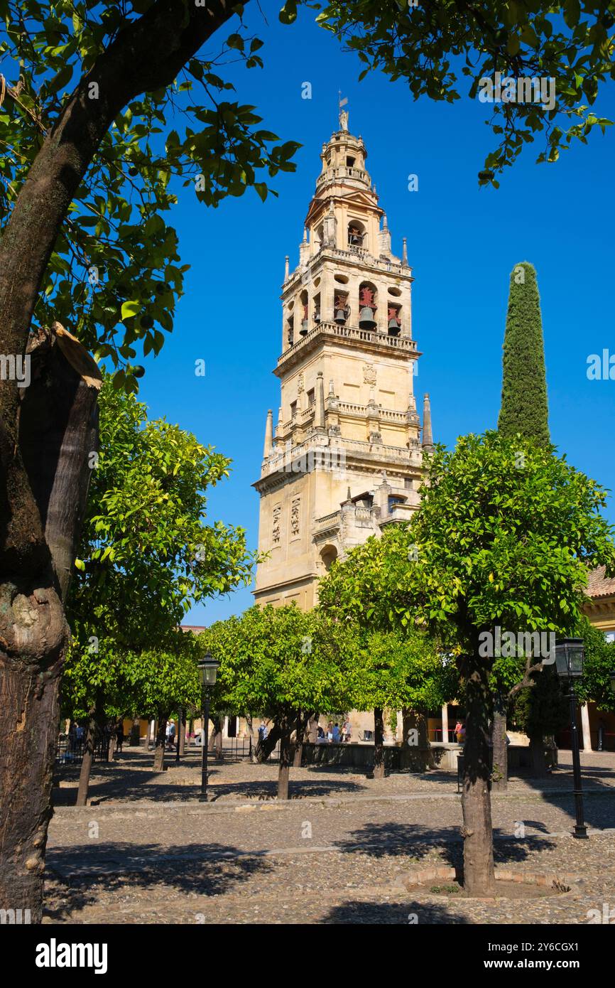 Spagna: Il campanile, la Mezquita o la moschea-cattedrale di Cordova (cattedrale di nostra Signora dell'assunzione), Cordova. La costruzione della grande Moschea iniziò nel 785–786 e terminò un anno dopo nel 786–787. Nel 1236 Córdoba fu conquistata da re Ferdinando III di Castiglia come parte della Reconquista. Dopo la conquista della città, la moschea fu convertita in una cattedrale cattolica dedicata alla Vergine Maria (Santa Maria). Foto Stock