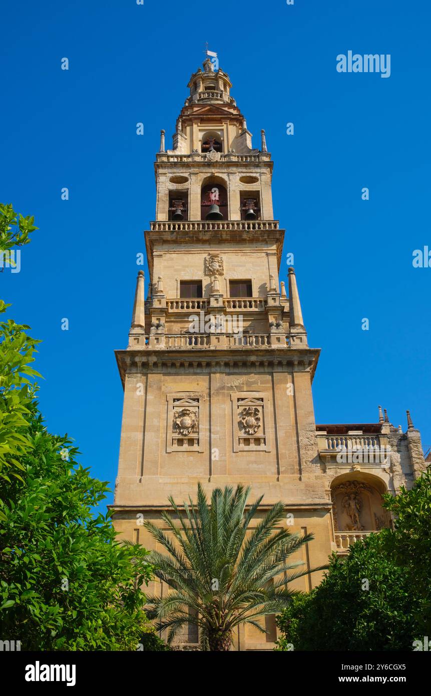 Spagna: Il campanile, la Mezquita o la moschea-cattedrale di Cordova (cattedrale di nostra Signora dell'assunzione), Cordova. La costruzione della grande Moschea iniziò nel 785–786 e terminò un anno dopo nel 786–787. Nel 1236 Córdoba fu conquistata da re Ferdinando III di Castiglia come parte della Reconquista. Dopo la conquista della città, la moschea fu convertita in una cattedrale cattolica dedicata alla Vergine Maria (Santa Maria). Foto Stock