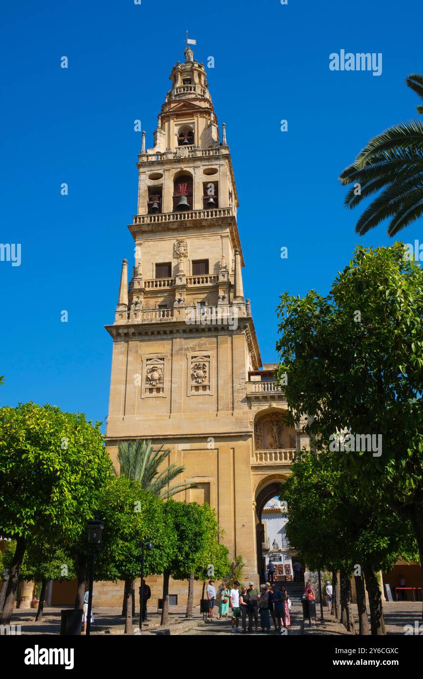 Spagna: Il campanile, la Mezquita o la moschea-cattedrale di Cordova (cattedrale di nostra Signora dell'assunzione), Cordova. La costruzione della grande Moschea iniziò nel 785–786 e terminò un anno dopo nel 786–787. Nel 1236 Córdoba fu conquistata da re Ferdinando III di Castiglia come parte della Reconquista. Dopo la conquista della città, la moschea fu convertita in una cattedrale cattolica dedicata alla Vergine Maria (Santa Maria). Foto Stock