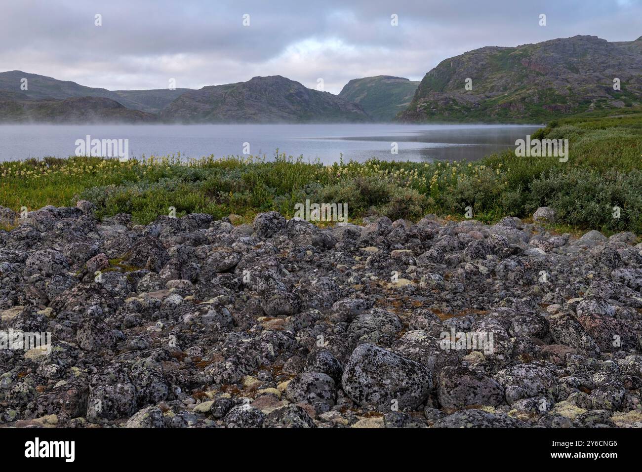 Nuvoloso mattino di luglio nell'Artico. Regione di Murmansk, Russia Foto Stock