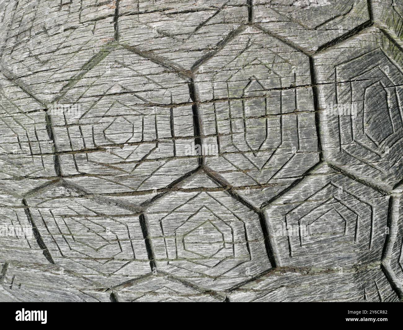 una superficie in legno su un parco giochi, con rombo simile a una tartaruga, che rappresenta un guscio astratto per tartarughe destinato all'arrampicata. Foto Stock