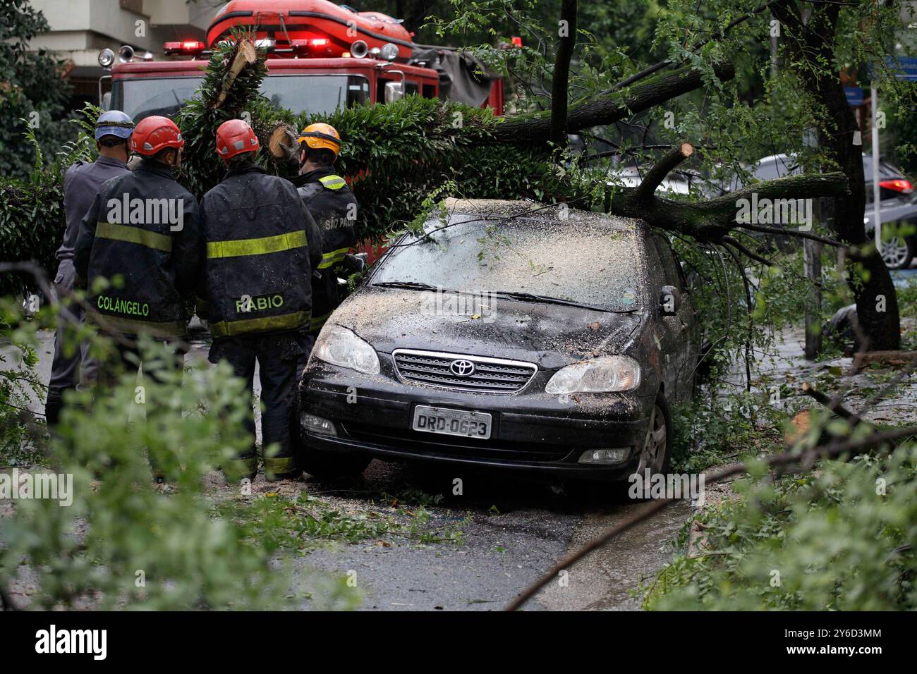 San Paolo, SP, Brasile - 12 gennaio 2017: I vigili del fuoco lavorano dopo che un'auto parcheggiata è stata colpita da un albero caduto dopo un temporale con forti venti. Foto Stock