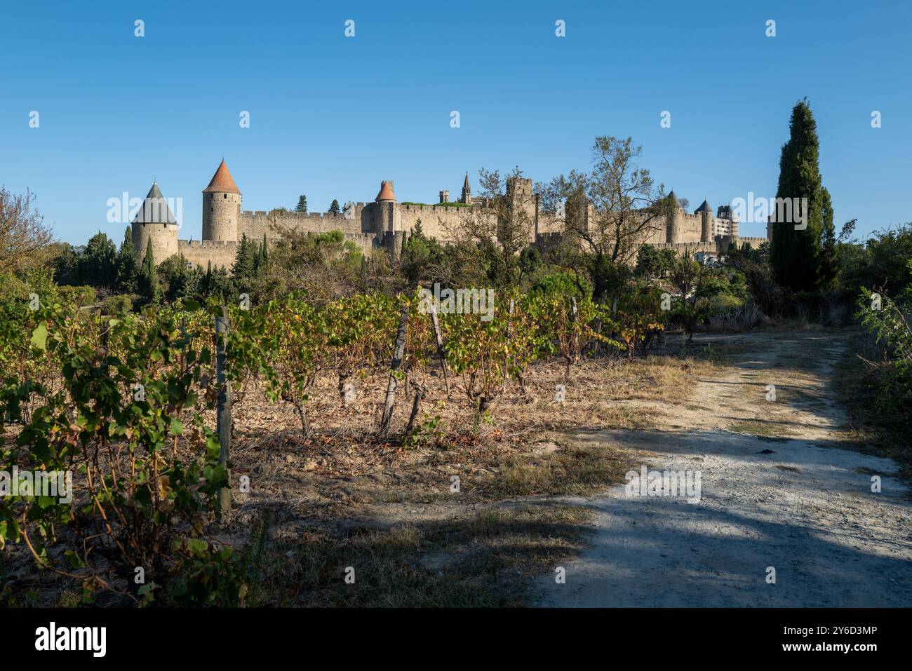 Carcassonne (sud della Francia): Vigne di fronte alla città medievale Foto Stock