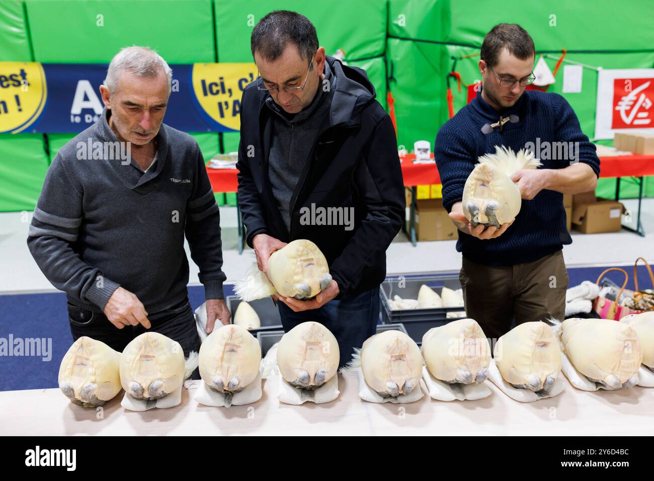 Montrevel-en-Bresse (Francia centro-orientale), 12 dicembre 2023: The Glorieuses de Bresse Bresse Poultry contest che riunisce allevatori di pollame DOP e ga Foto Stock