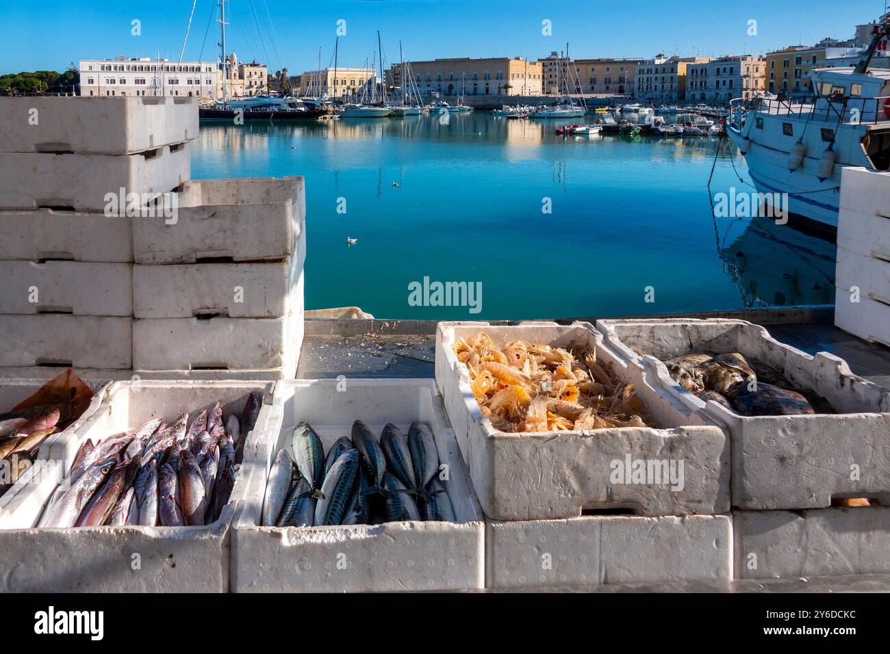 Pesce appena pescato in vendita al Porto di Trani, Italia Foto Stock