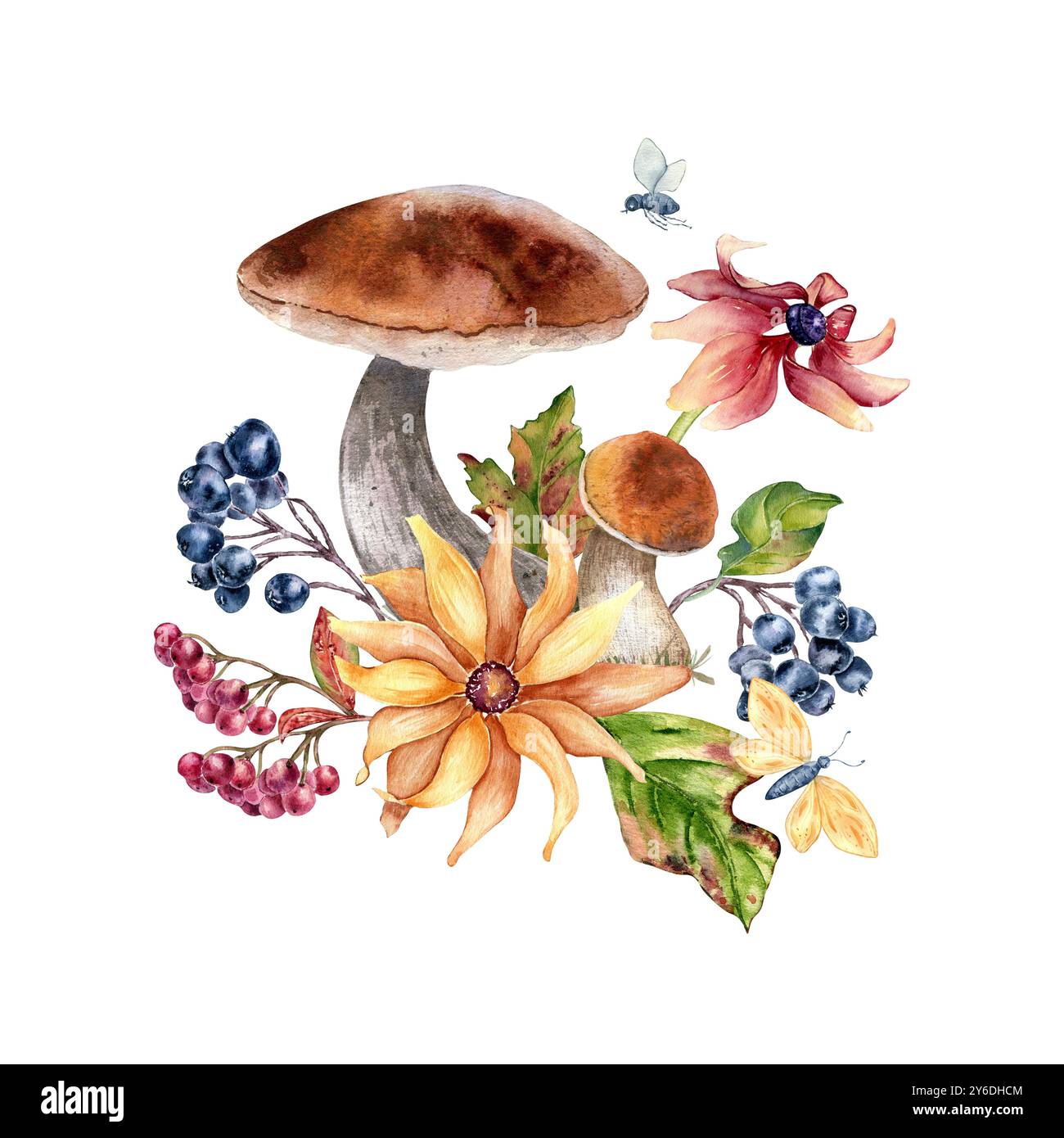 Acquerello composizione autunnale con funghi, bacche, fiori e farfalla isolati su bianco. Illustrazione floreale di foglie autunnali e mano di porcini Foto Stock