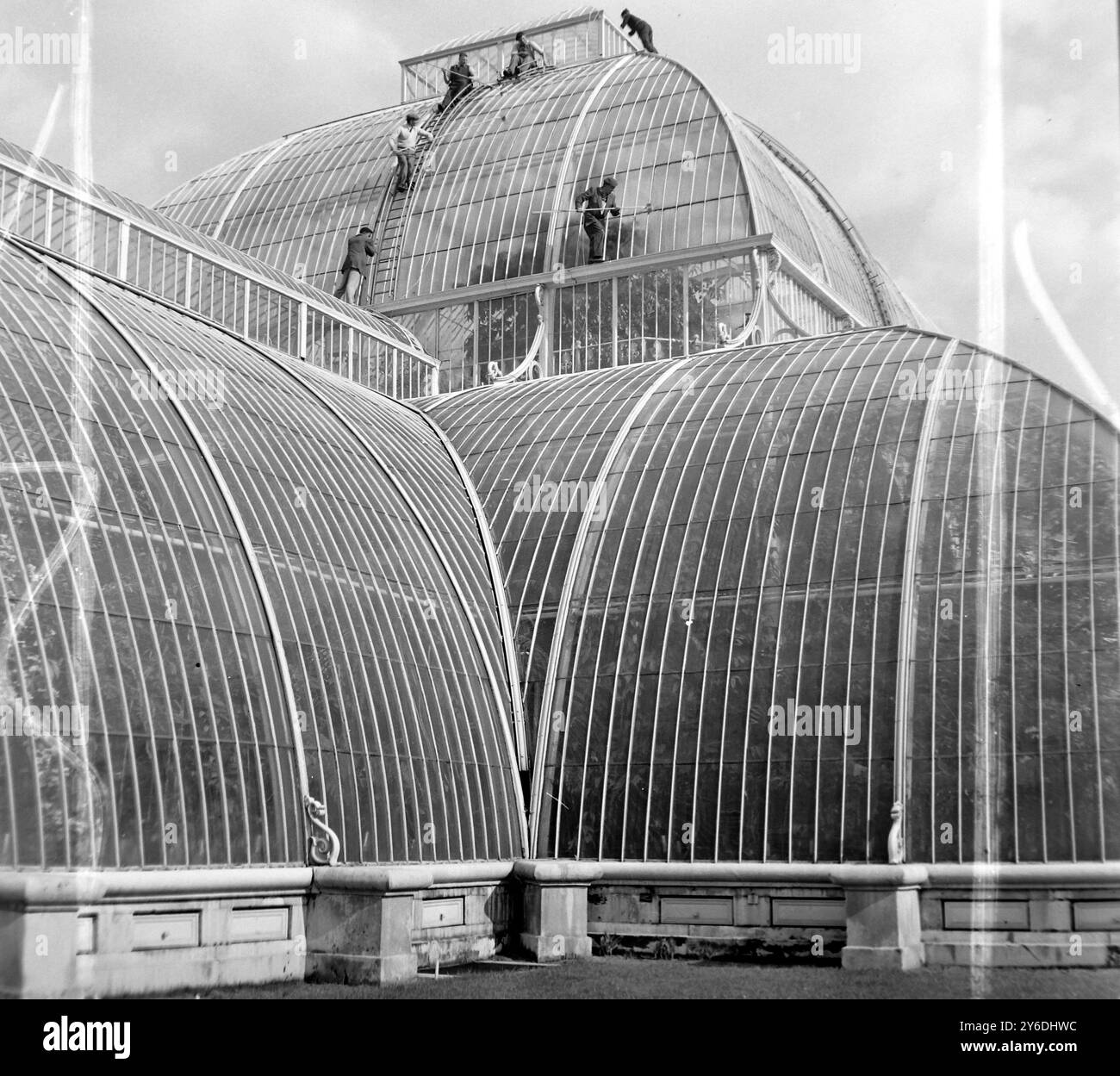 BOTANIC GARDENS PALM HOUSE SI PULISCE A KEW, SURREY; 7 MAGGIO 1963 Foto Stock