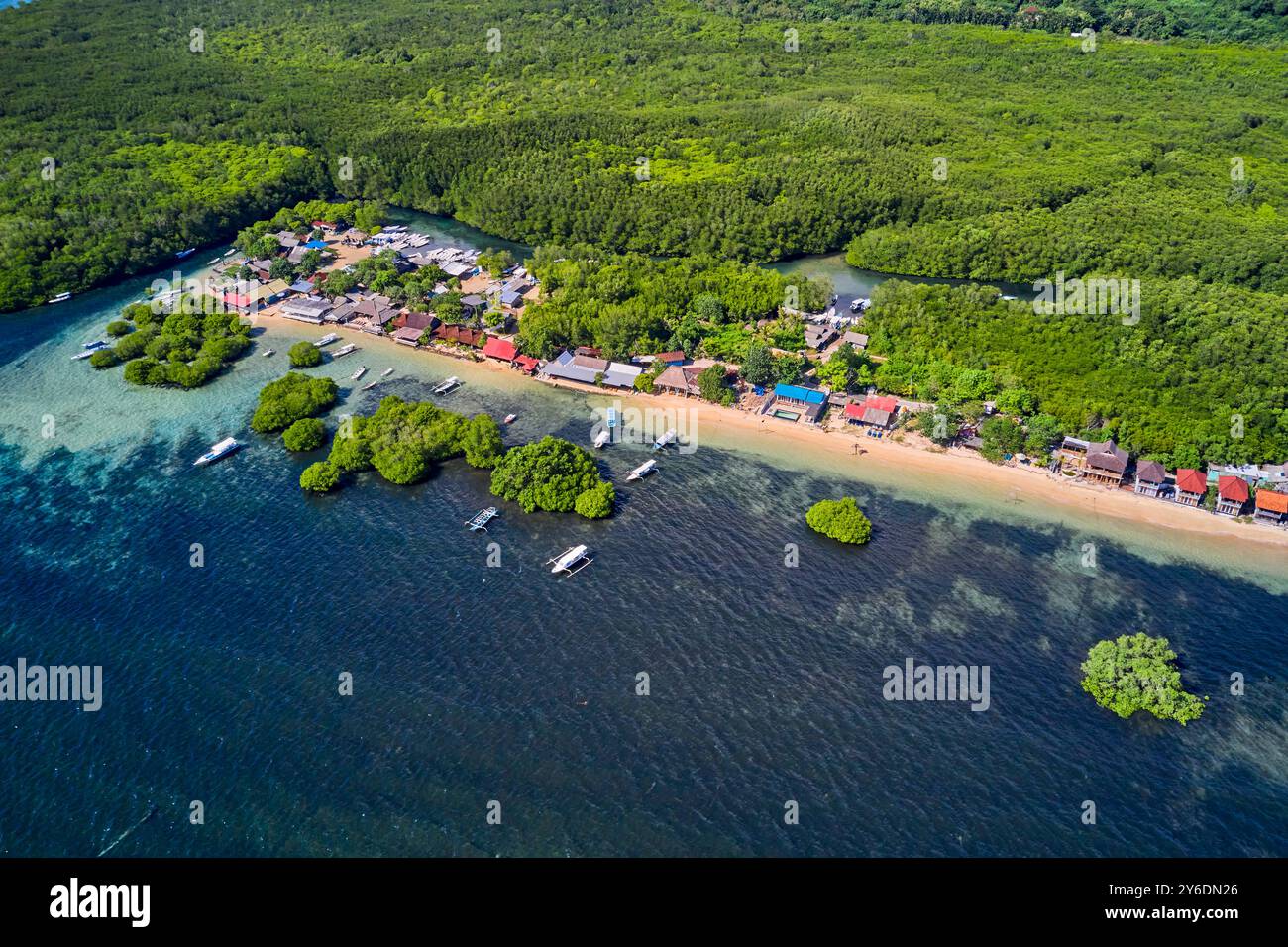 Indonesia, Bali, Nusa Lembongan Island, la mangrovia hutan nel nord dell'isola Foto Stock
