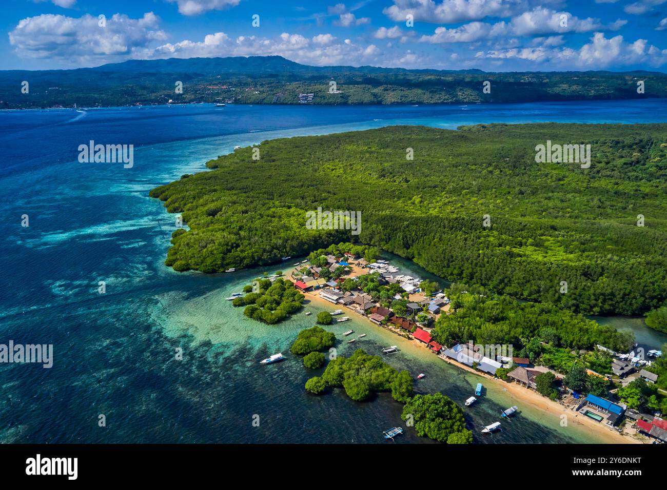 Indonesia, Bali, Nusa Lembongan Island, la mangrovia hutan nel nord dell'isola Foto Stock