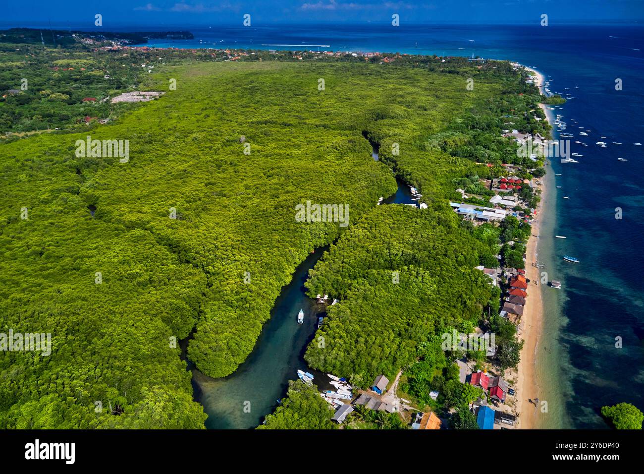 Indonesia, Bali, Nusa Lembongan Island, la mangrovia hutan nel nord dell'isola Foto Stock