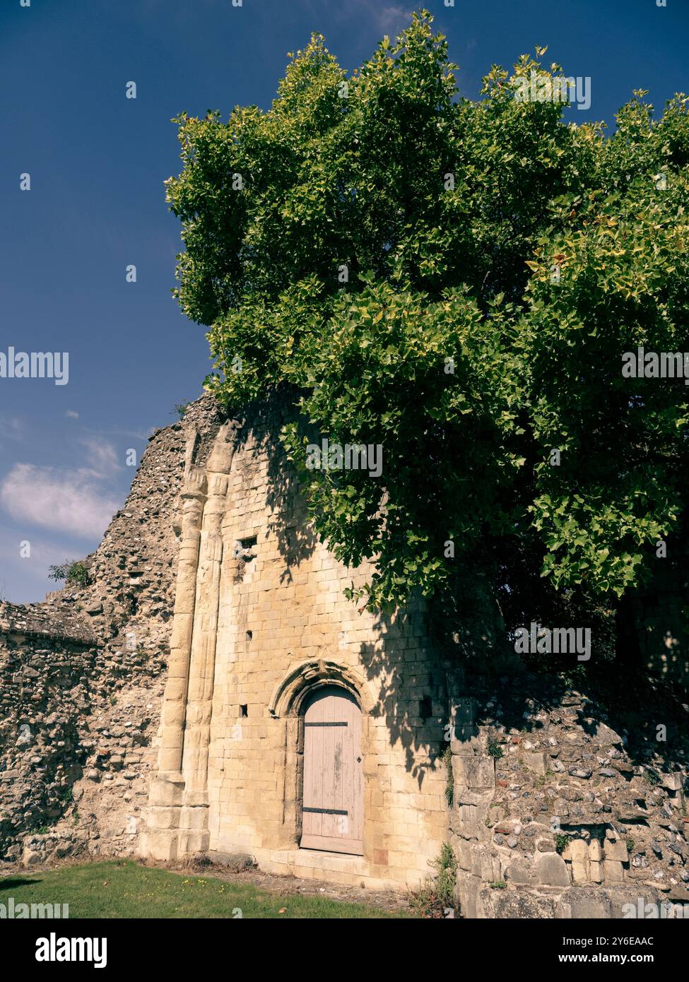 St Augustine's Abbey, Canterbury, Kent, Inghilterra, Regno Unito, GB. Foto Stock