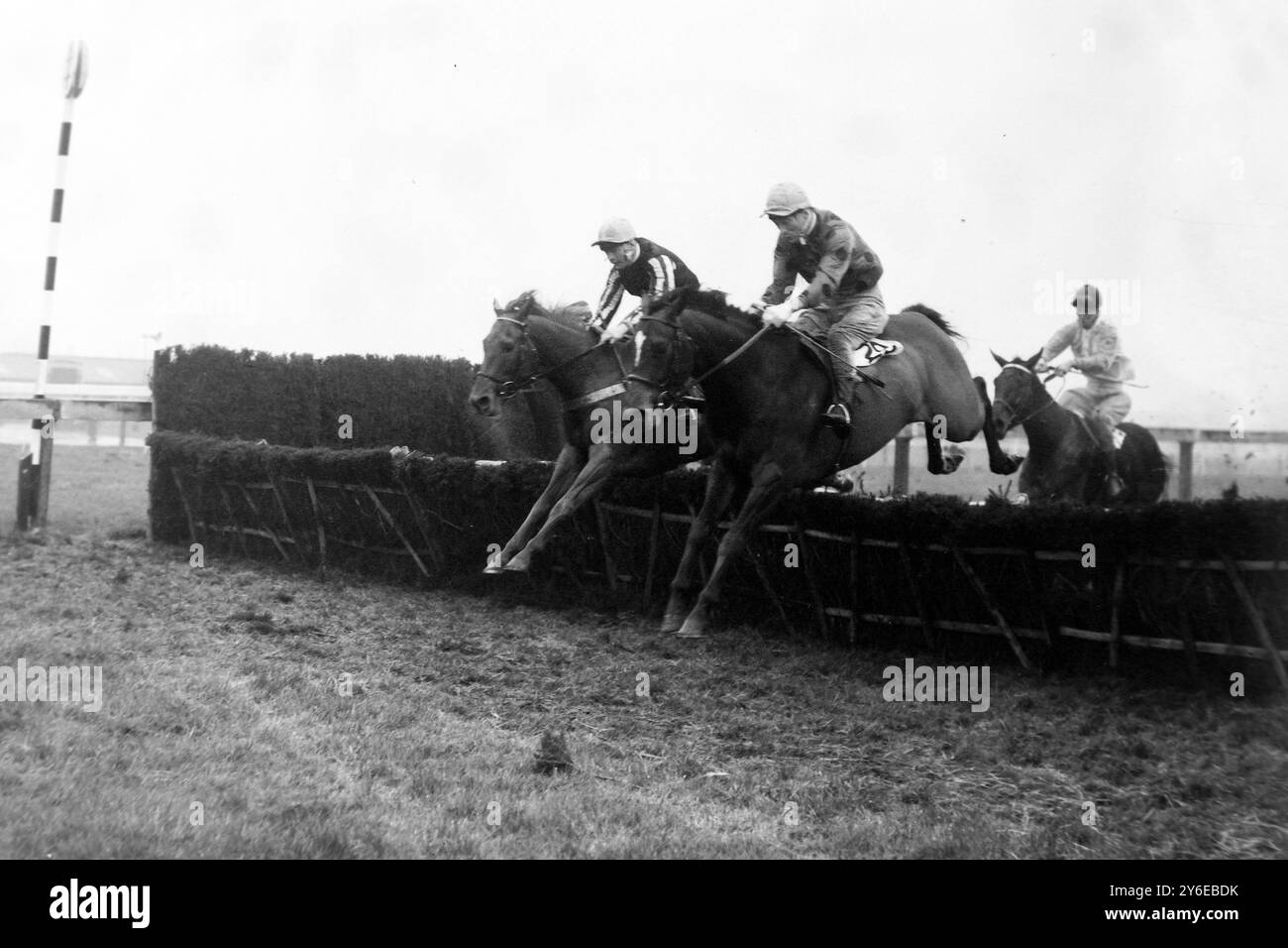 CORSE DEI CAVALLI SAMOTHRAKI P ROBINSON FRESHMANS HURDLE RACE; 23 NOVEMBRE 1962 Foto Stock