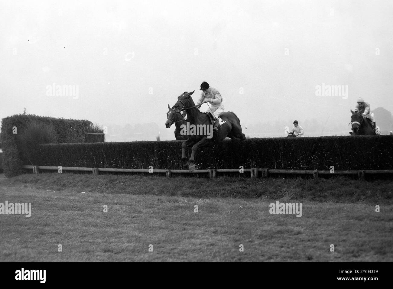CORSE DI CAVALLI SILVER DOME VINCE HANDICAP LITTLEWORTH SANDOWN ; 9 NOVEMBRE 1962 Foto Stock