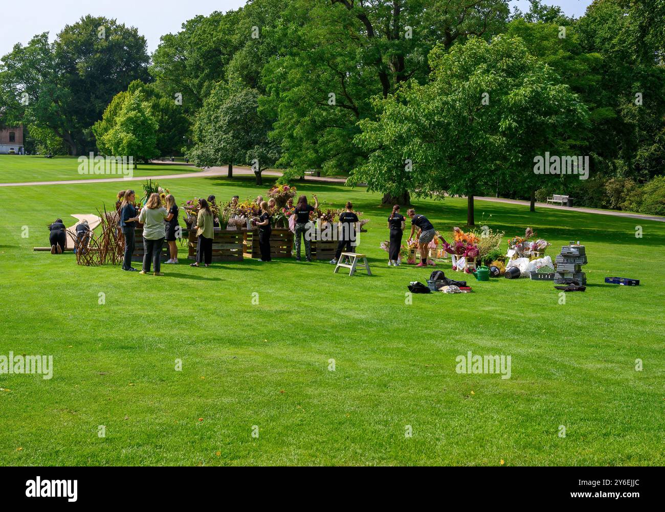 Un gruppo di individui lavora insieme in un parco vivace, organizzando sapientemente materiali floreali su strutture in legno sotto cieli azzurri, mettendo in mostra Foto Stock