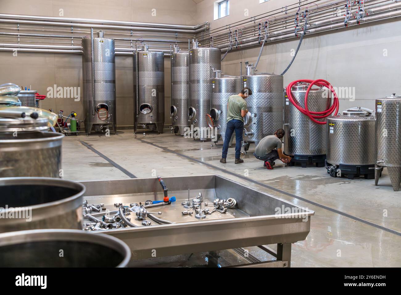 Moderna produzione di vino in Svezia. A Thora Vineyard, l'attenzione è rivolta alla crescita. C'è ancora spazio per molte botti d'acciaio nella sala. Johan e Heather Öberg gestiscono l'azienda vinicola Thora Vingård. Dalen, Båstads kommun, Skåne, Svezia Foto Stock