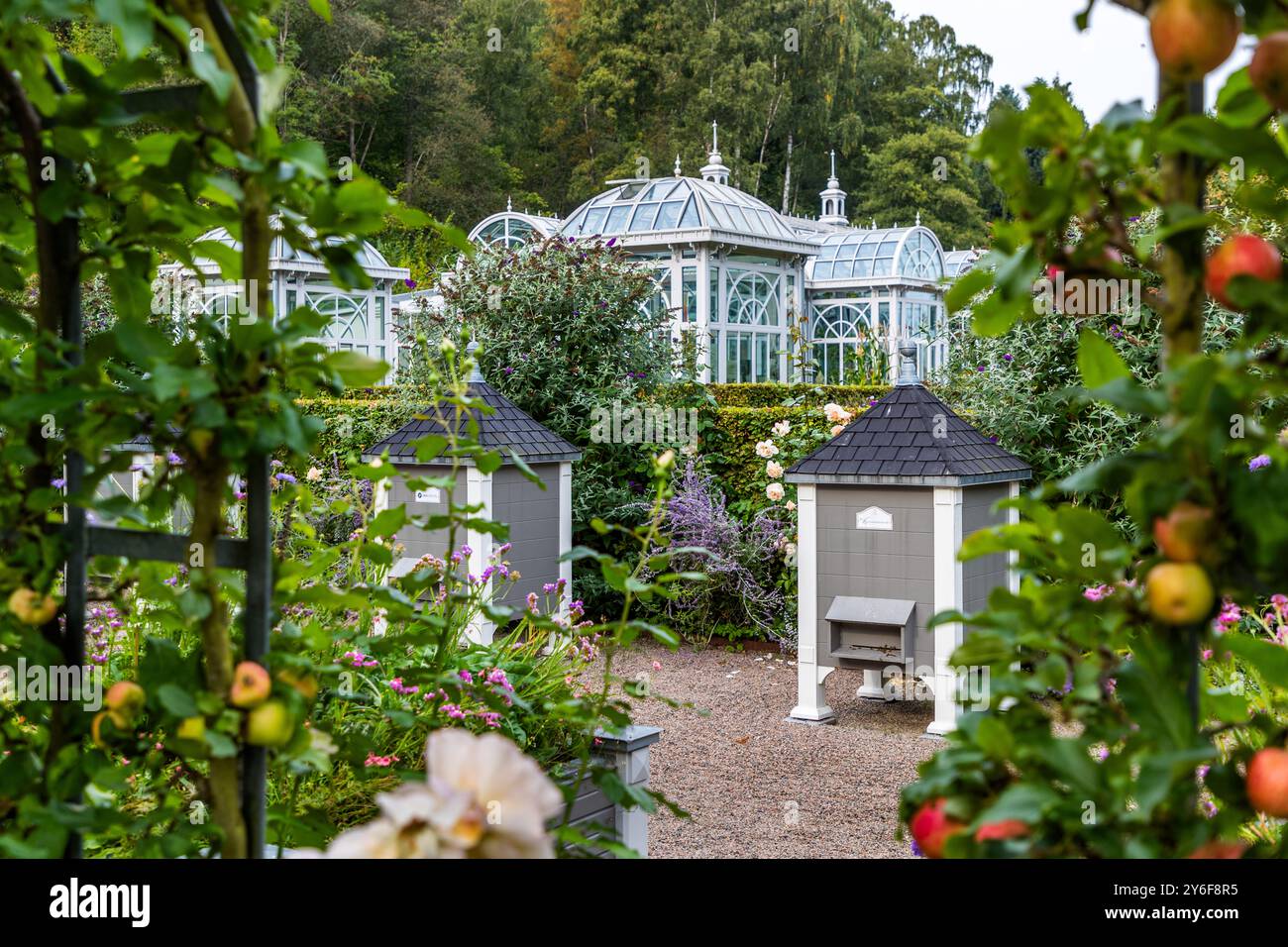 Due alveari con tetti di scandole si trovano davanti a una serra di vetro ai Giardini Norrviken – forse a Erikshus, dove i giardini ospitano mostre d'arte stagionali. Mele mature pendono in primo piano nel frutteto storico, uno dei più grandi del suo genere nell'Europa settentrionale. Kattviksvägen, Båstads kommun, Skåne, Svezia. Foto Stock