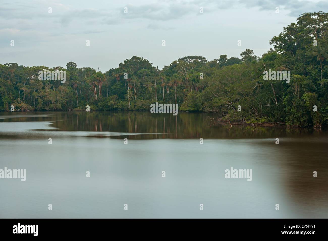 Foresta pluviale amazzonica a lunga esposizione, parco nazionale di Yasuni, Ecuador. Foto Stock
