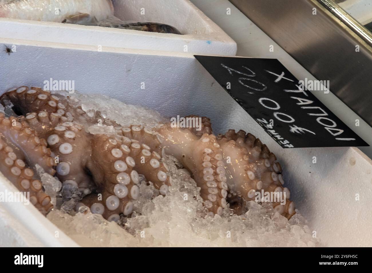 Polpo fresco in mostra per l'acquisto del negozio di pescivendoli ata nella città di zante, zante, Grecia. polpo appena pescato in vendita su bancarelle di pesce fresco. Foto Stock