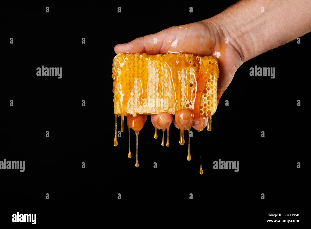 spremere a mano il miele dal favo d'ape in primo piano su sfondo scuro, concetto di apicoltura, apicoltore che produce miele Foto Stock