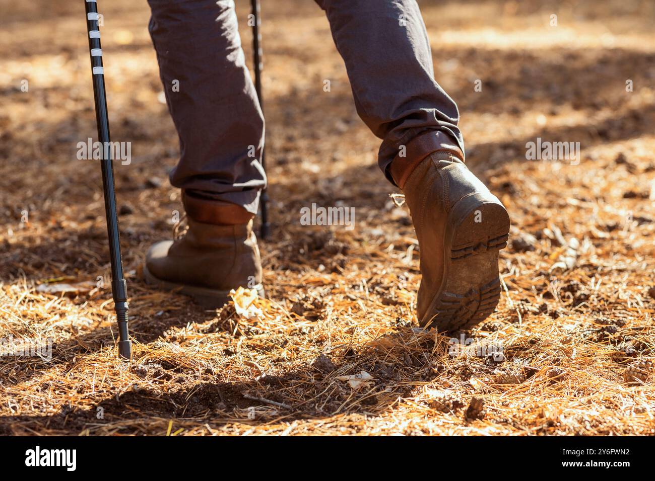 Primo piano di gambe maschili che camminano nella foresta Foto Stock