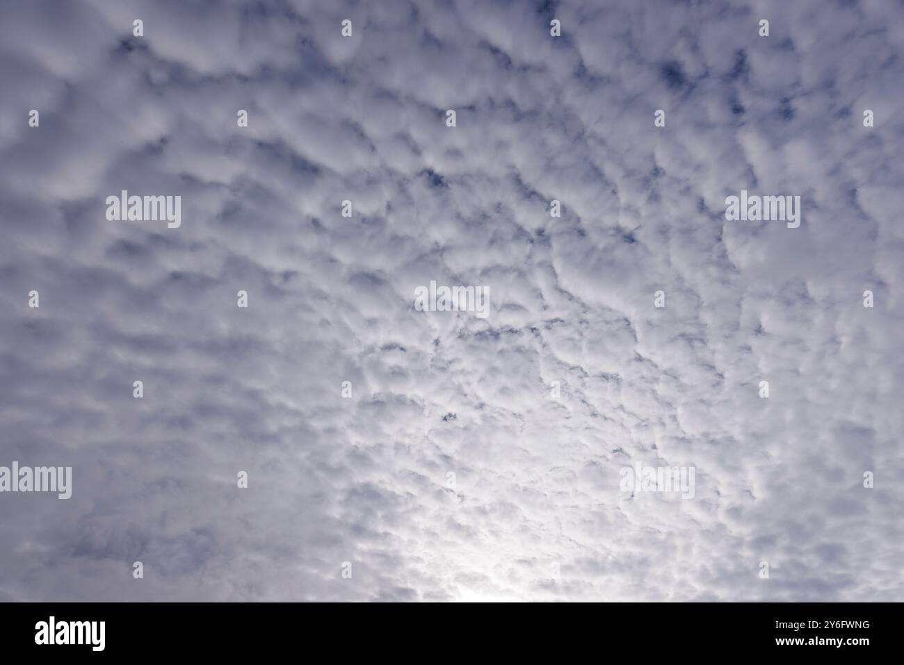 Altocumulus wispy nuvole che riempiono il cielo, Finlandia Foto Stock