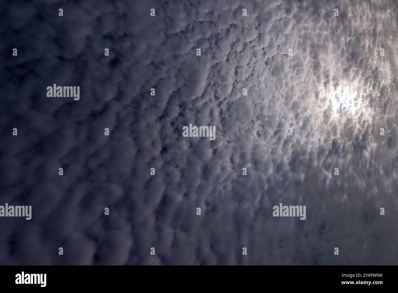 Altocumulus wispy nuvole che riempiono il cielo, Finlandia Foto Stock