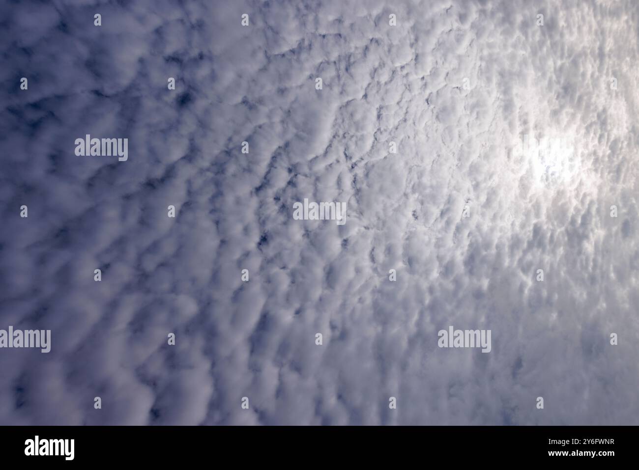Altocumulus wispy nuvole che riempiono il cielo, Finlandia Foto Stock