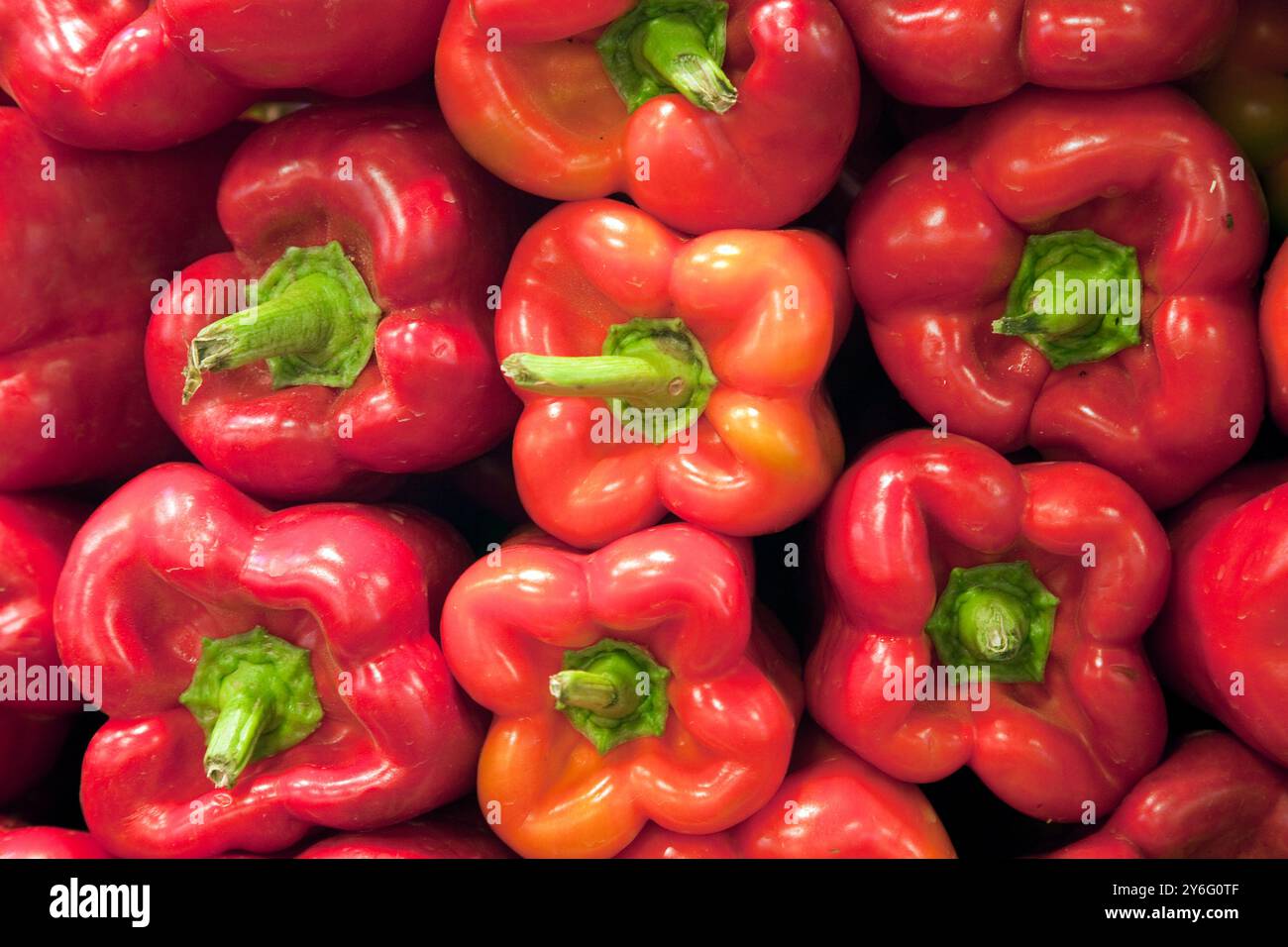 Al Mercat de la Boqueria sono esposti peperoni rossi brillanti, che mostrano i prodotti freschi disponibili nel vivace mercato di Barcelonas. Foto Stock