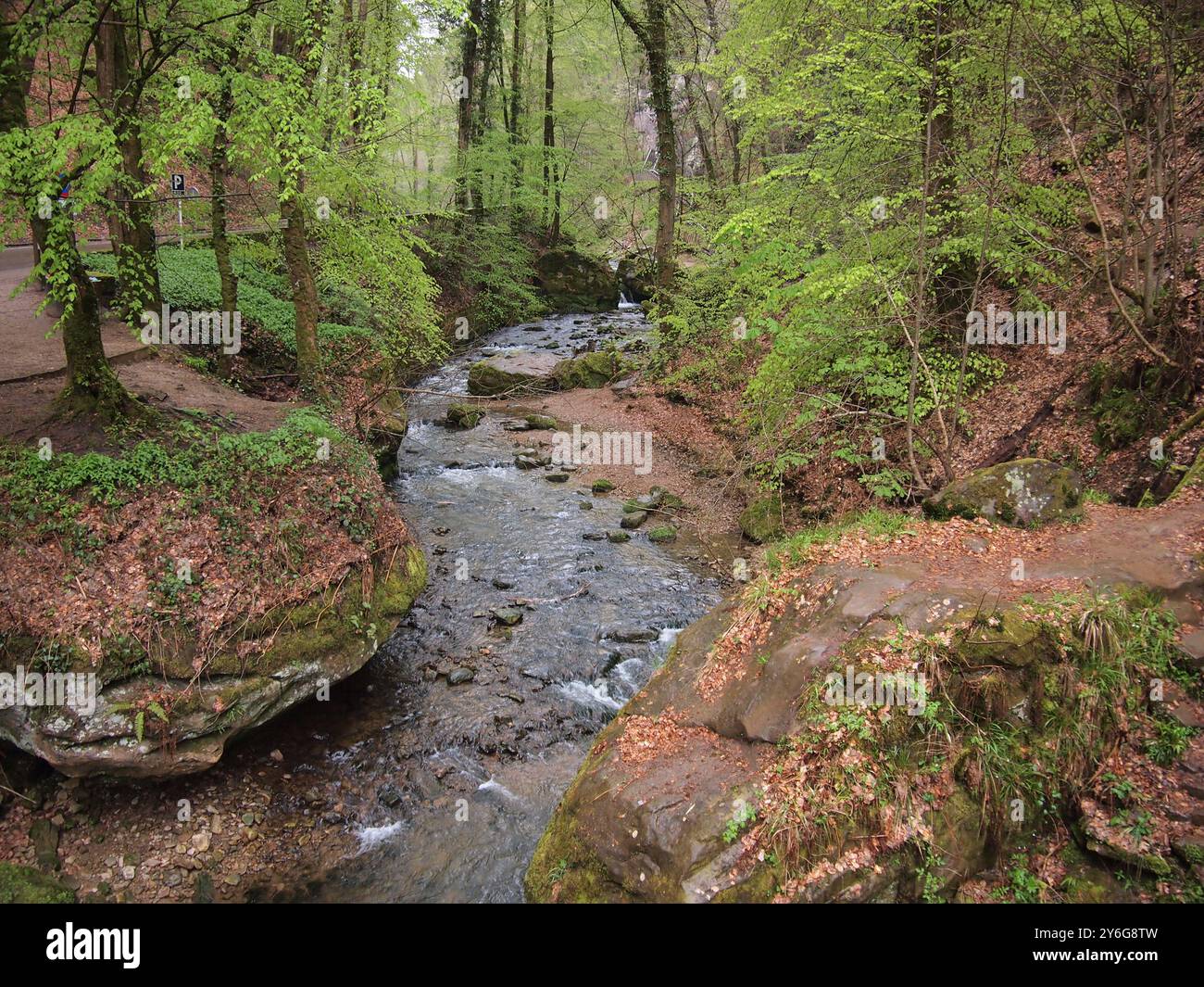 Schiessentümpel (piccola Svizzera - Mullerthal, Lussemburgo) Foto Stock