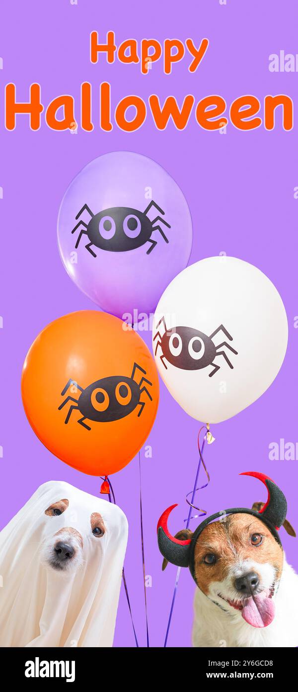 Collage verticale con cani divertenti in costumi di Halloween e palloncini natalizi. Foto Stock