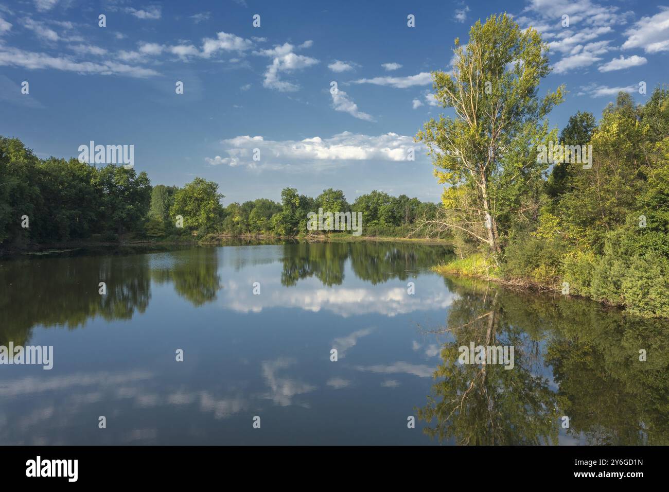 Paesaggio con tranquillo lago estivo nella foresta, riflesso del cielo Foto Stock