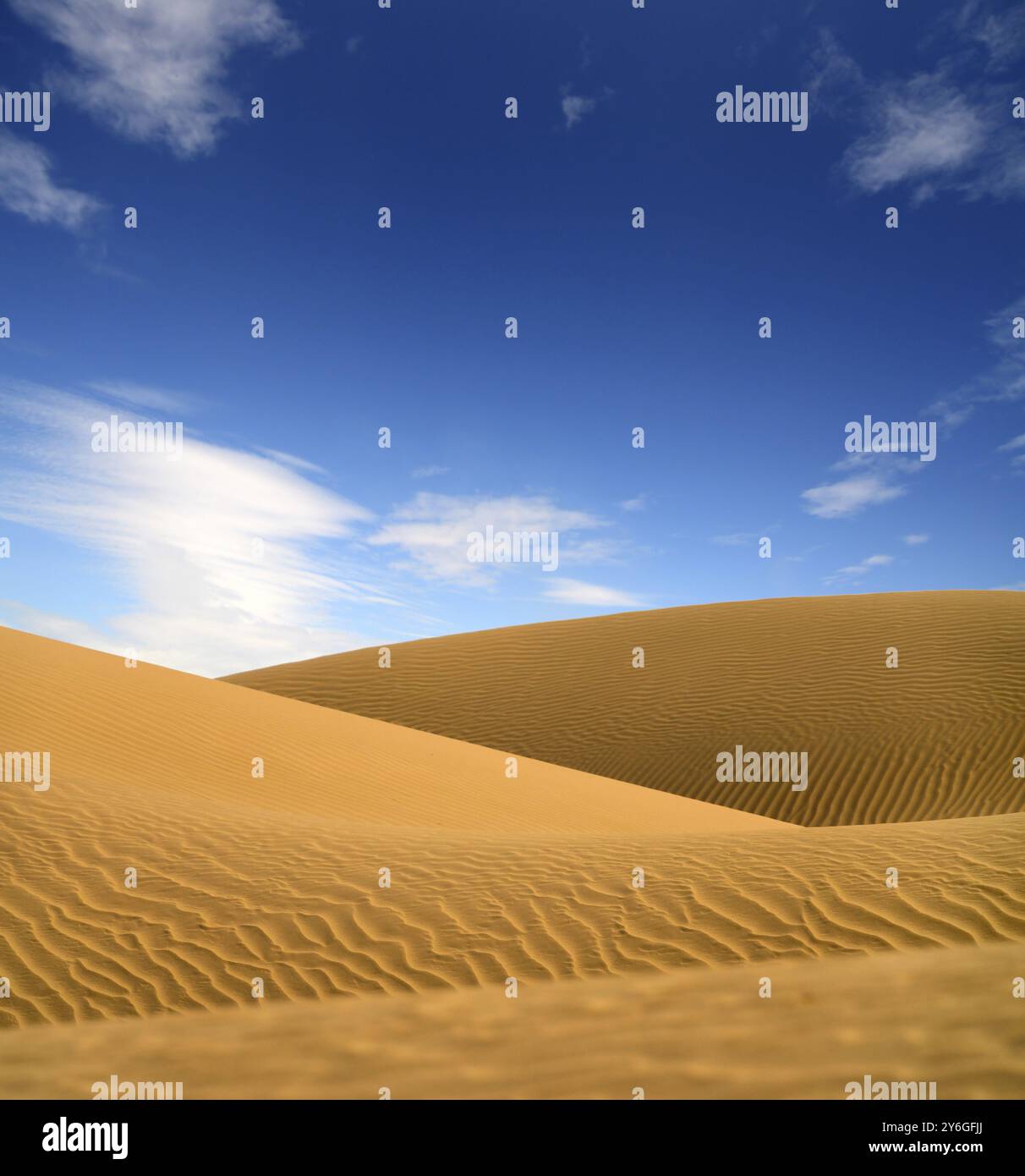 Splendido paesaggio serale nel deserto del Sahara Foto Stock