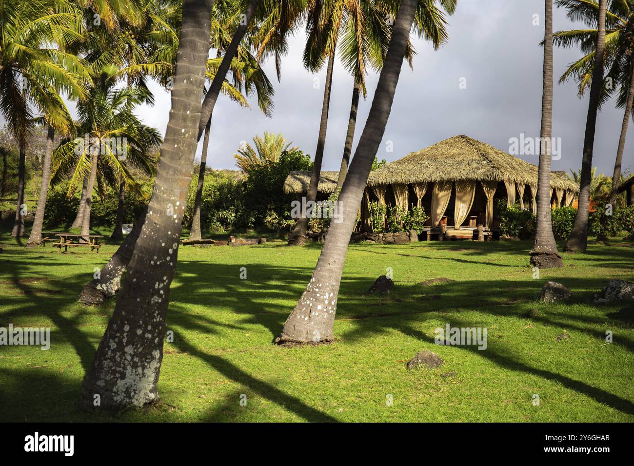 Anakena Baeach Isola di Pasqua Rapa Nui paesaggio Foto Stock