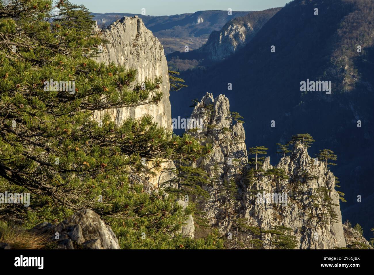 Montagne a Sokolarica Viewpoint, popolare destinazione di viaggio in Serbia. Parco nazionale di Tara Foto Stock