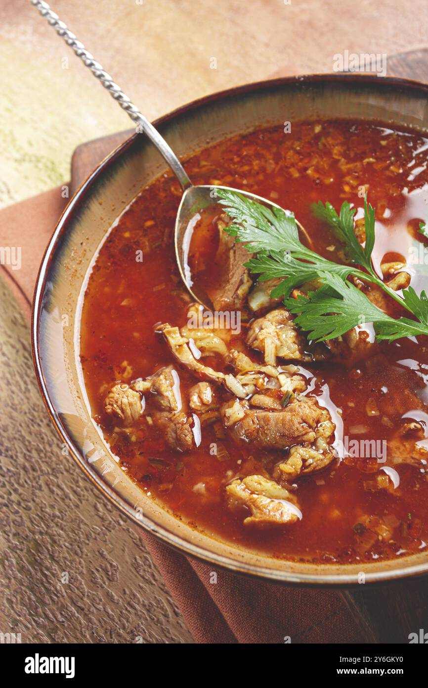 Cibo, zuppa di Kharcho, piatto georgiano, zuppa di pomodoro con riso, zuppa rossa, zuppa piccante, fatta in casa, nessuno Foto Stock