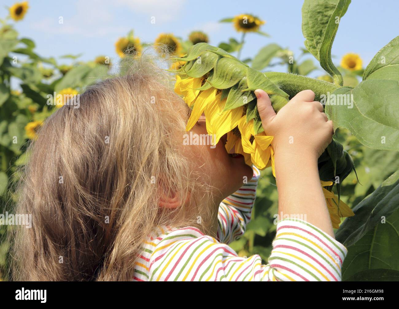 Bambina che puzza di girasole Foto Stock