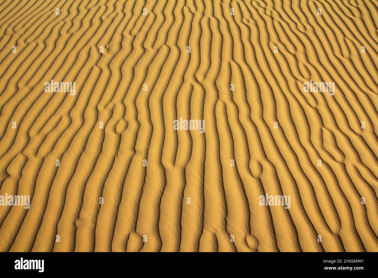 Sabbia sullo sfondo ondulato del deserto Foto Stock