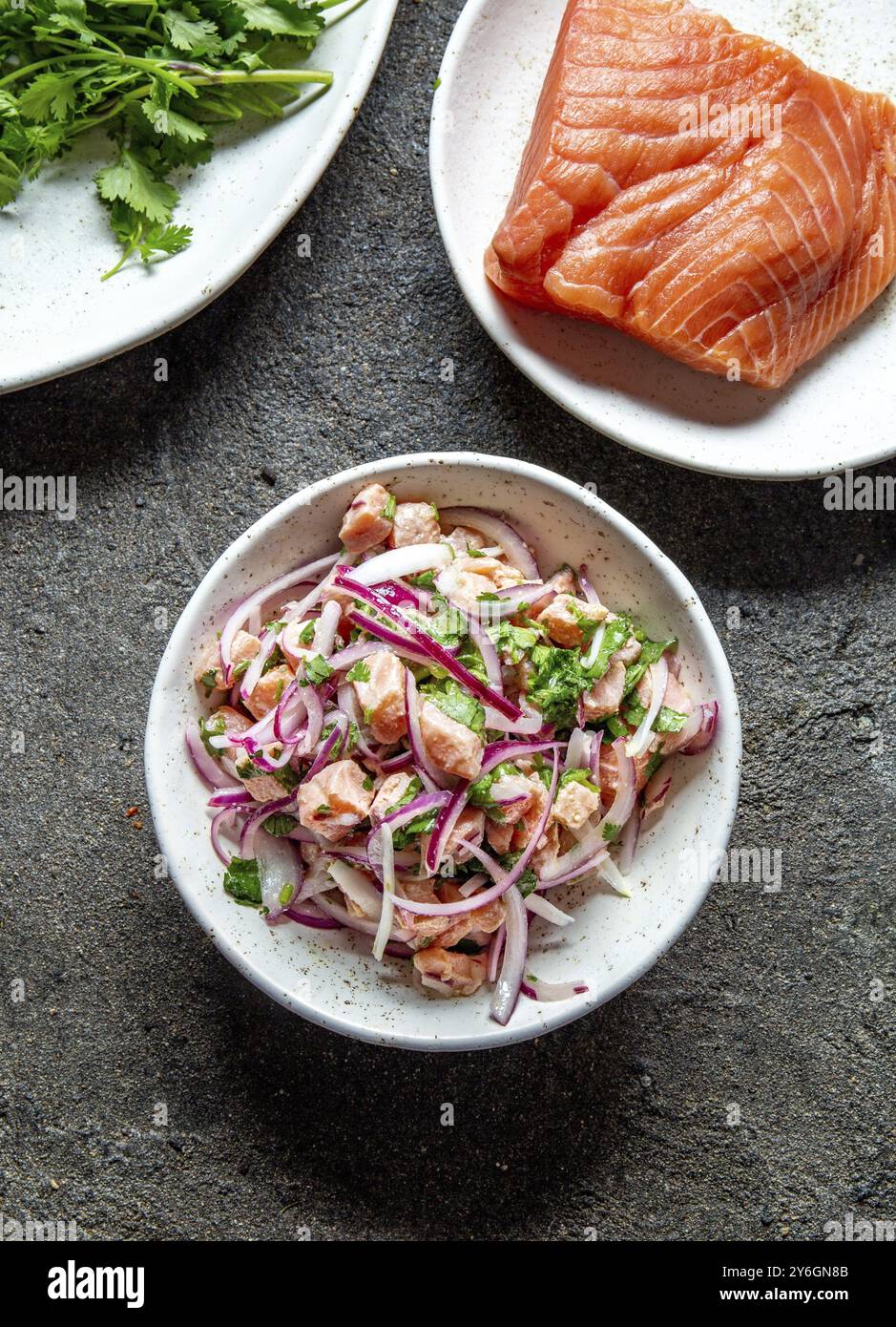 Cibo, cibo, CEVICHE DI SALMONE CILENO. Salmone crudo fresco marinato con cipolla viola, coriandolo nel succo di limone. Sebiche e ingredienti su backgroun grigio Foto Stock