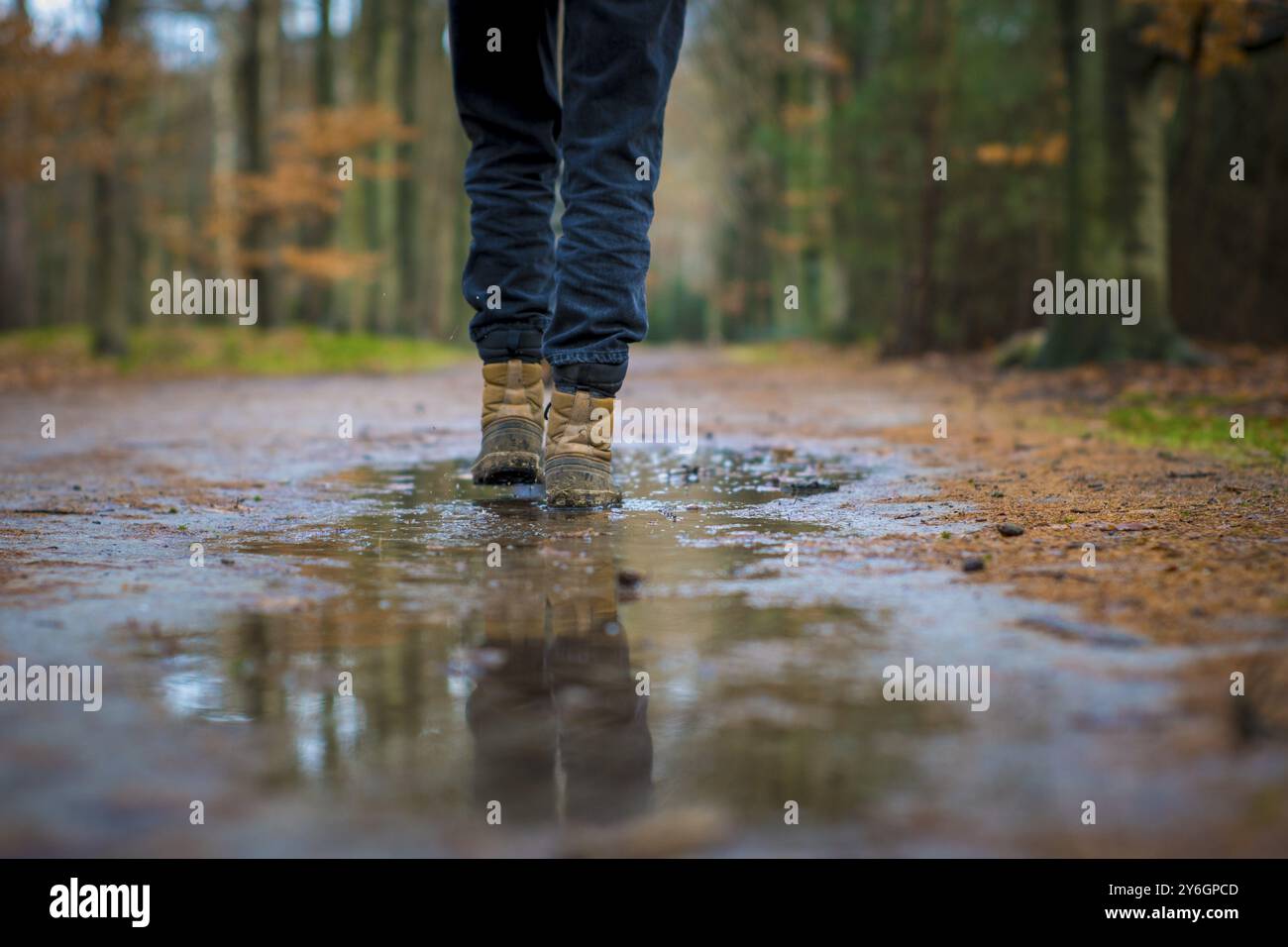 Foto selettiva di scarponi da trekking che camminano attraverso una pozza d'acqua su un sentiero nella foresta Foto Stock