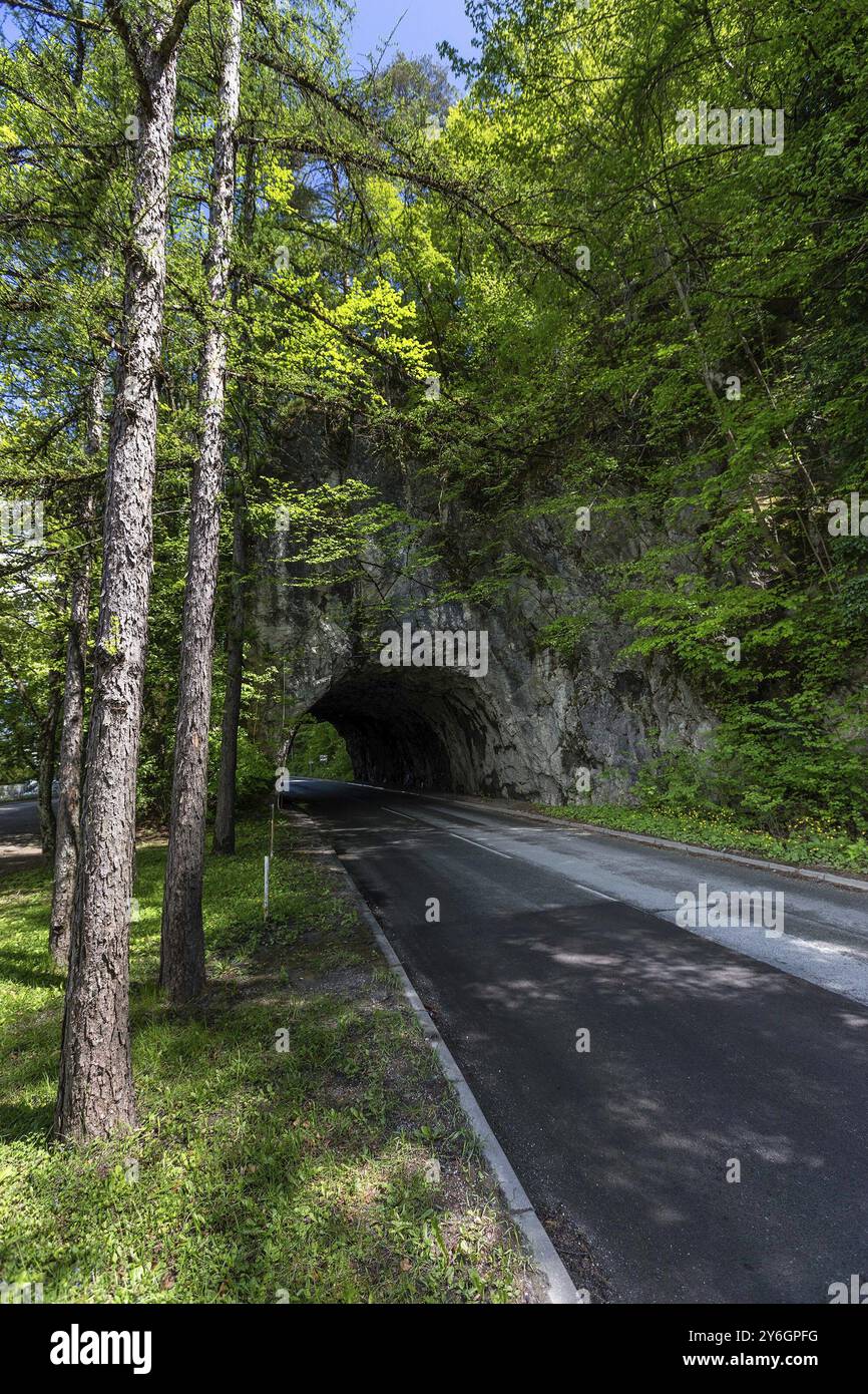 Tunnel sotto roccia su strada di montagna in Slovenia Foto Stock