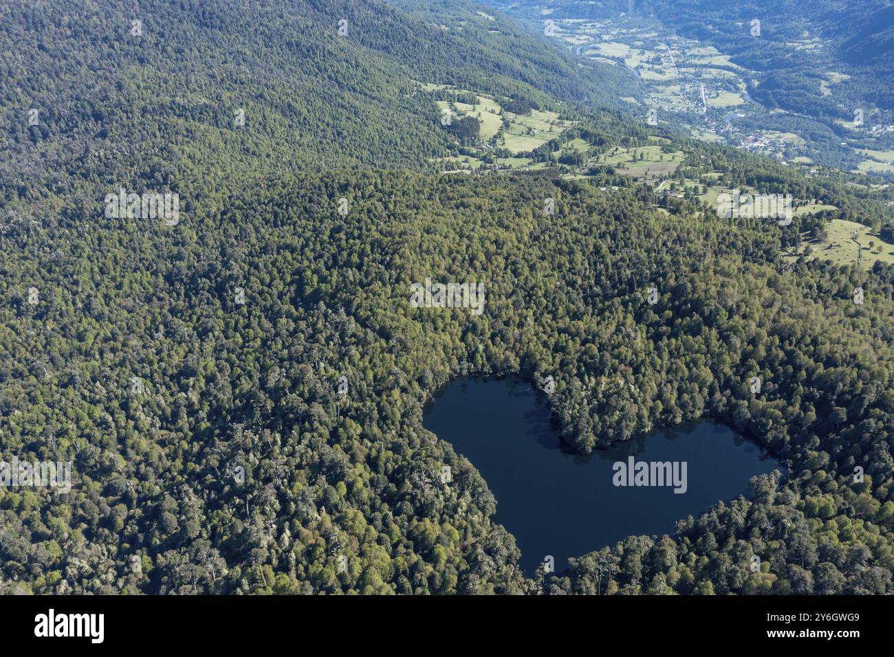 Laguna del cuore, Laguna Corazon, Cile. Droni dall'alto verso il basso vista sulla laguna con la forma di un cuore circondato da foresta, vicino a Liquine, regione di Los Lagos Chil Foto Stock
